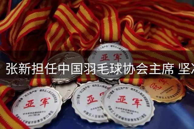 张新担任中国羽毛球协会主席 坚决把反腐败斗争进行到底